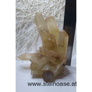Natur Citrin Spitzen / Stufe